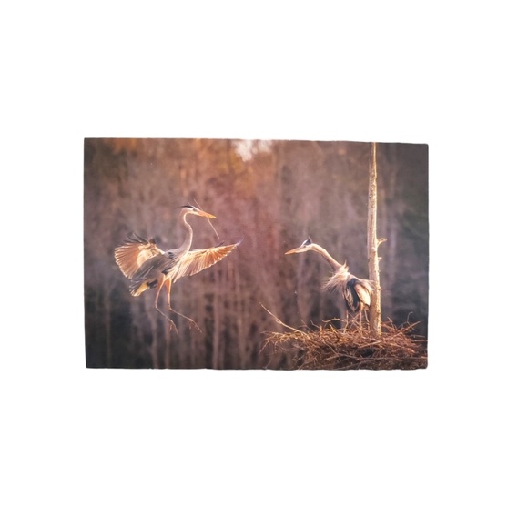 ☕ Nature Greeting Cards set of 5 - Picture 6 of 12